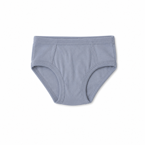 Boys Organic Cotton Brief, Seasonal Hues
