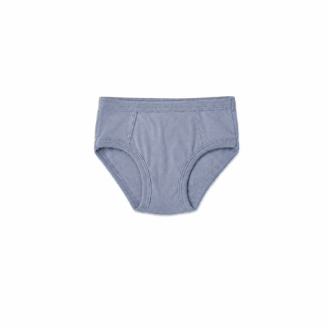 Boys Organic Cotton Brief, Seasonal Hues