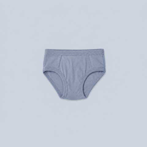 Boys Organic Cotton Brief, Seasonal Hues